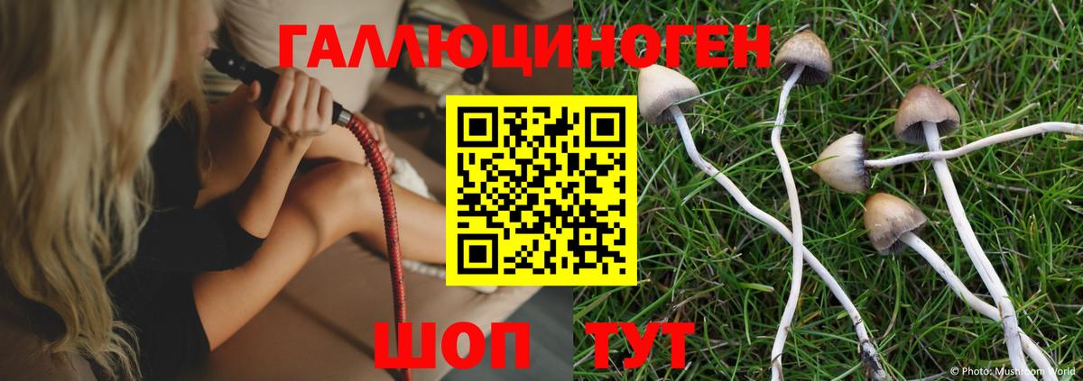купить  цена  Вход с VPN  Бирск  Псилоцибиновые грибы Psilocybe  Псилоцибиновые грибы мицелий 